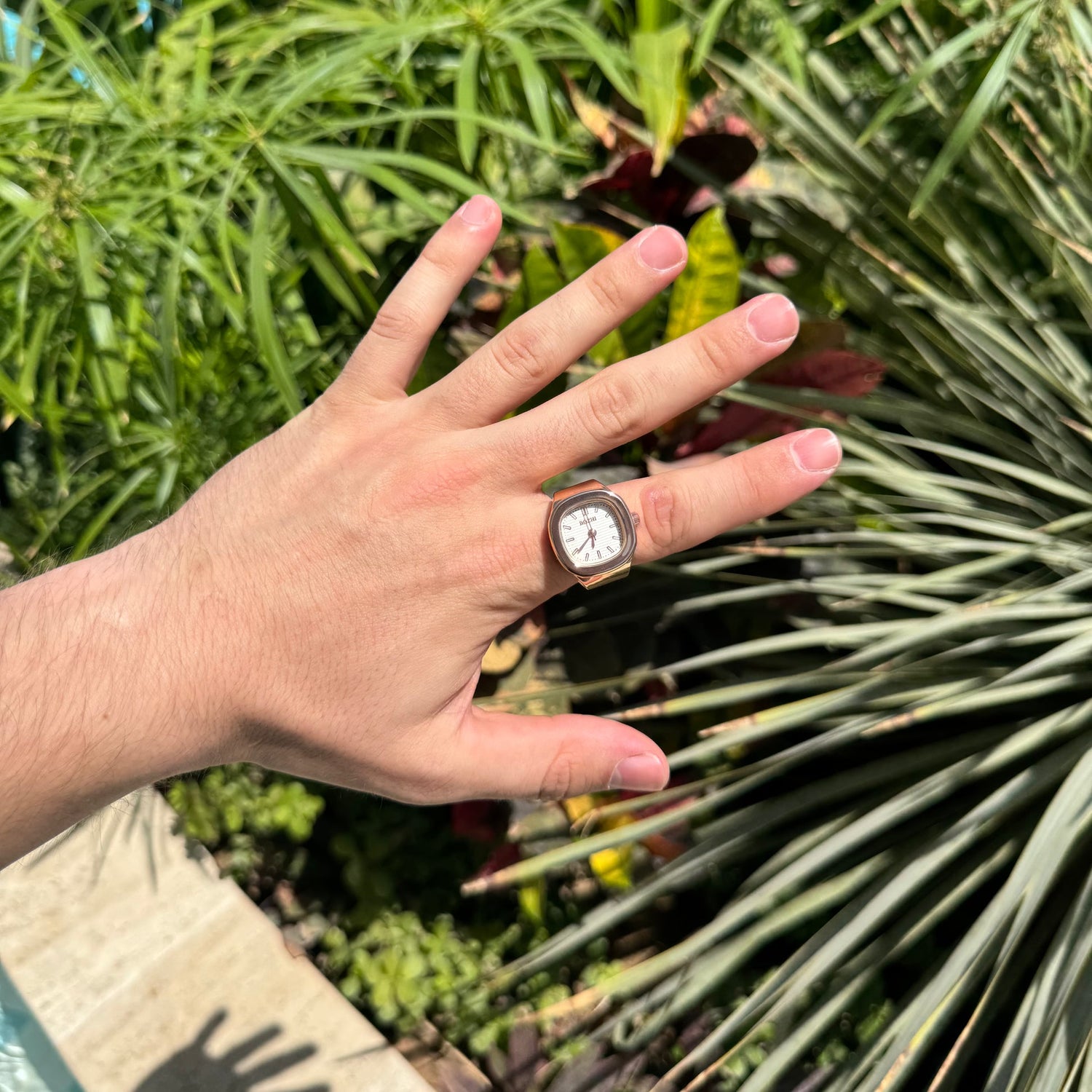 NAUTILUS RING | ROSE WHITE